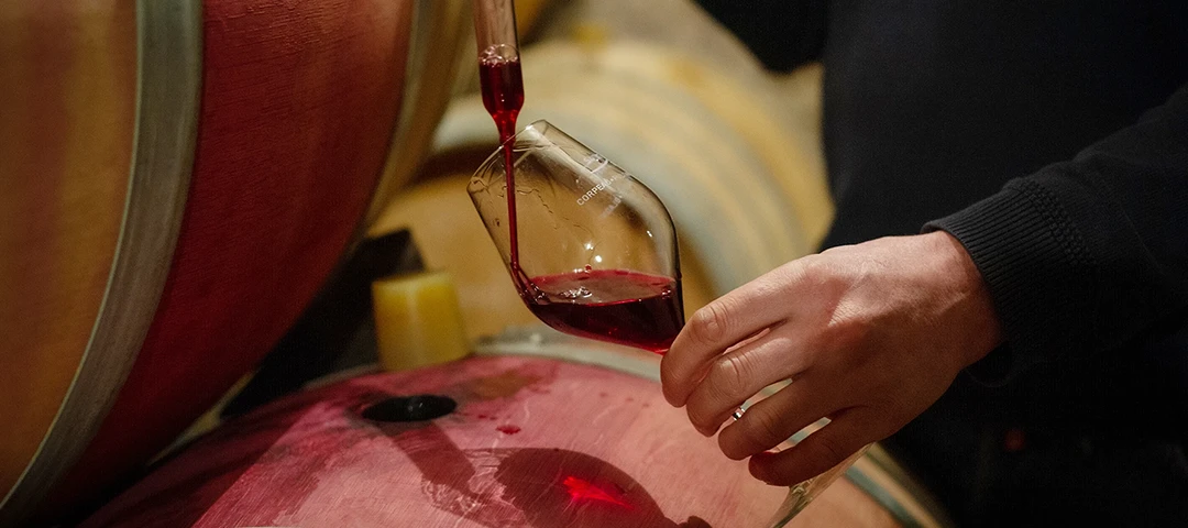 Dégustation sur fûts de vin rouge en cave au Domaine BAROLET-PERNOT PÈRE & FILS
