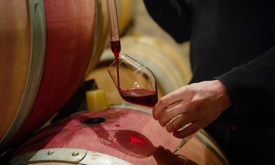 Dégustation sur fûts de vin rouge en cave au Domaine BAROLET-PERNOT PÈRE & FILS